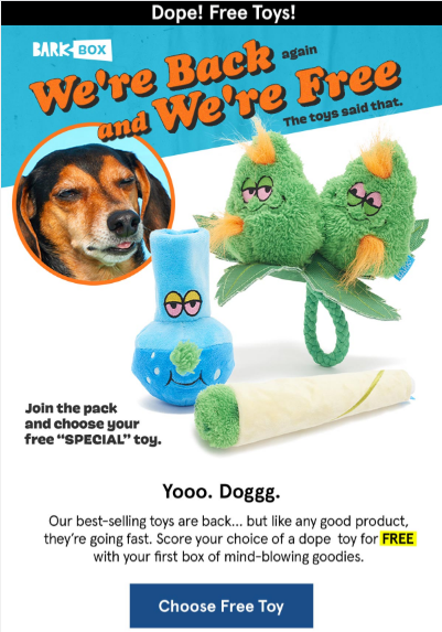 Example of BarkBox special letter