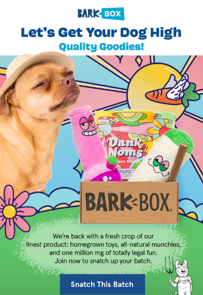 BarkBox funny email
