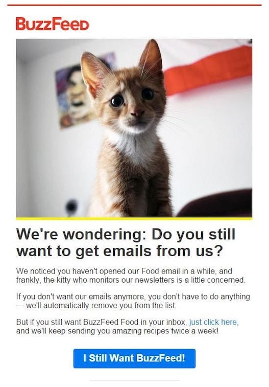 Example of BuzzFeed's email to retain customers