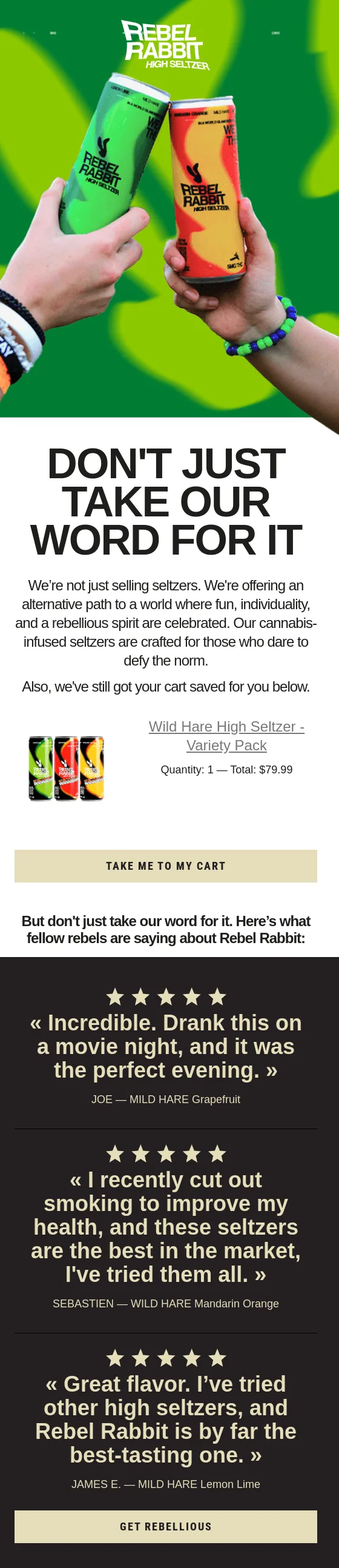Abandoned Cart Email Example 2025 Rebel Rabbit