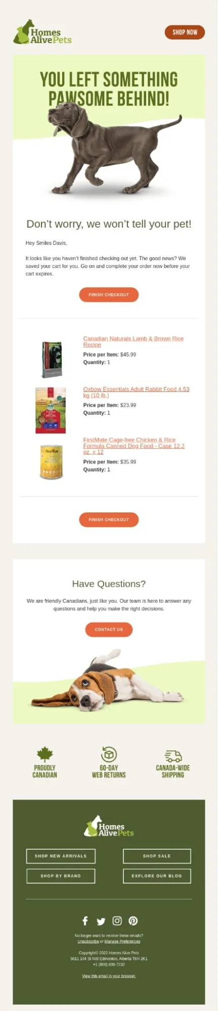 transactional-email-types-shopping-cart-abandonment-email